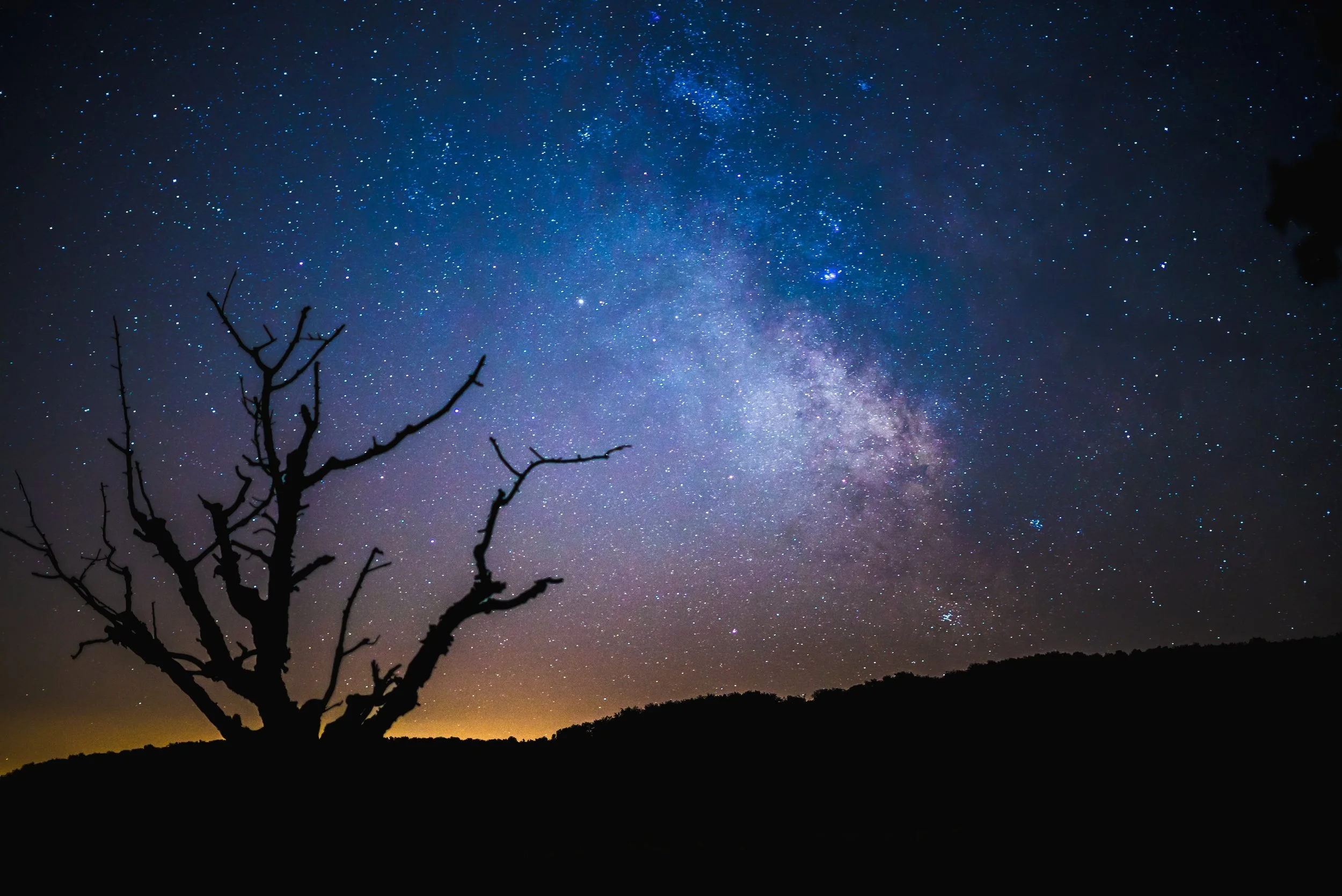 A quiet starry night sky with a faint Milky Way visible above a dark hillside and a single bare tree silhouette, in deep blues and purples, evoking a calm contemplative mood